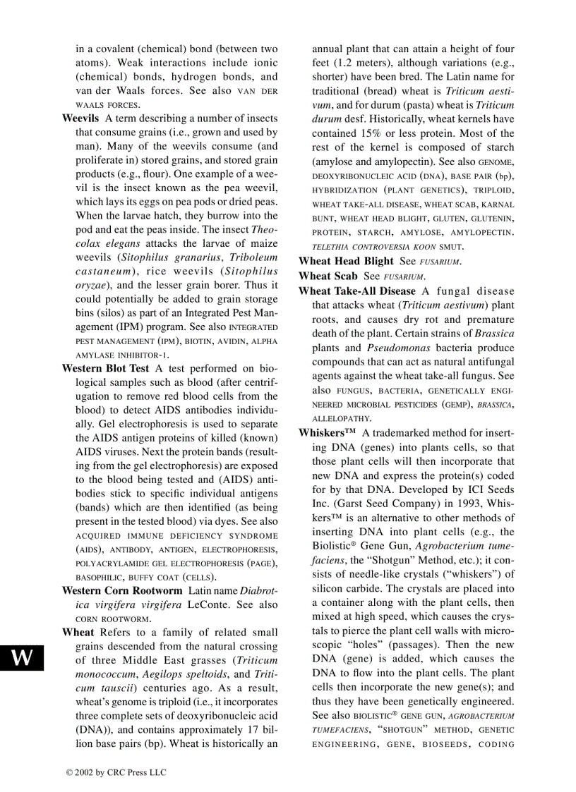 image for page Glossary of Biotechnology Terms 3rd Edition