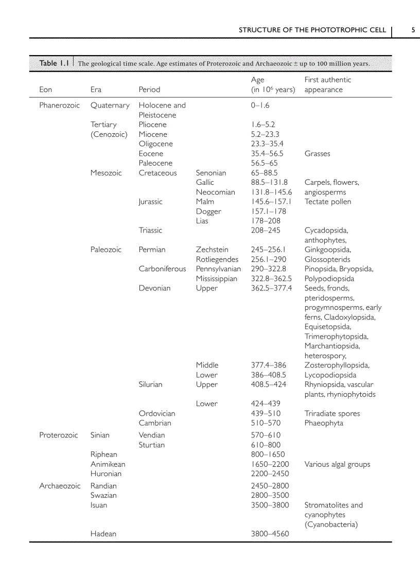 image for page Green Plants Their Origin and Diversity 2nd Edition
