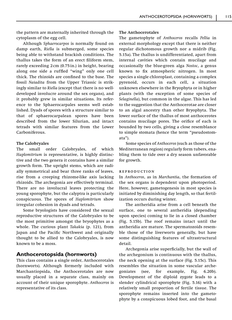 image for page Green Plants Their Origin and Diversity 2nd Edition