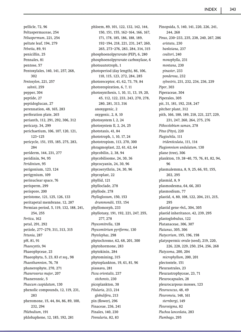 image for page Green Plants Their Origin and Diversity 2nd Edition