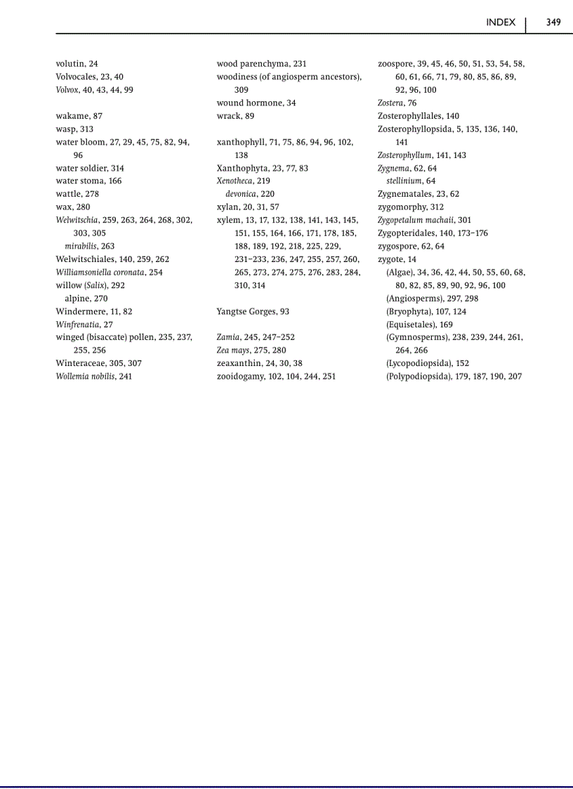 image for page Green Plants Their Origin and Diversity 2nd Edition
