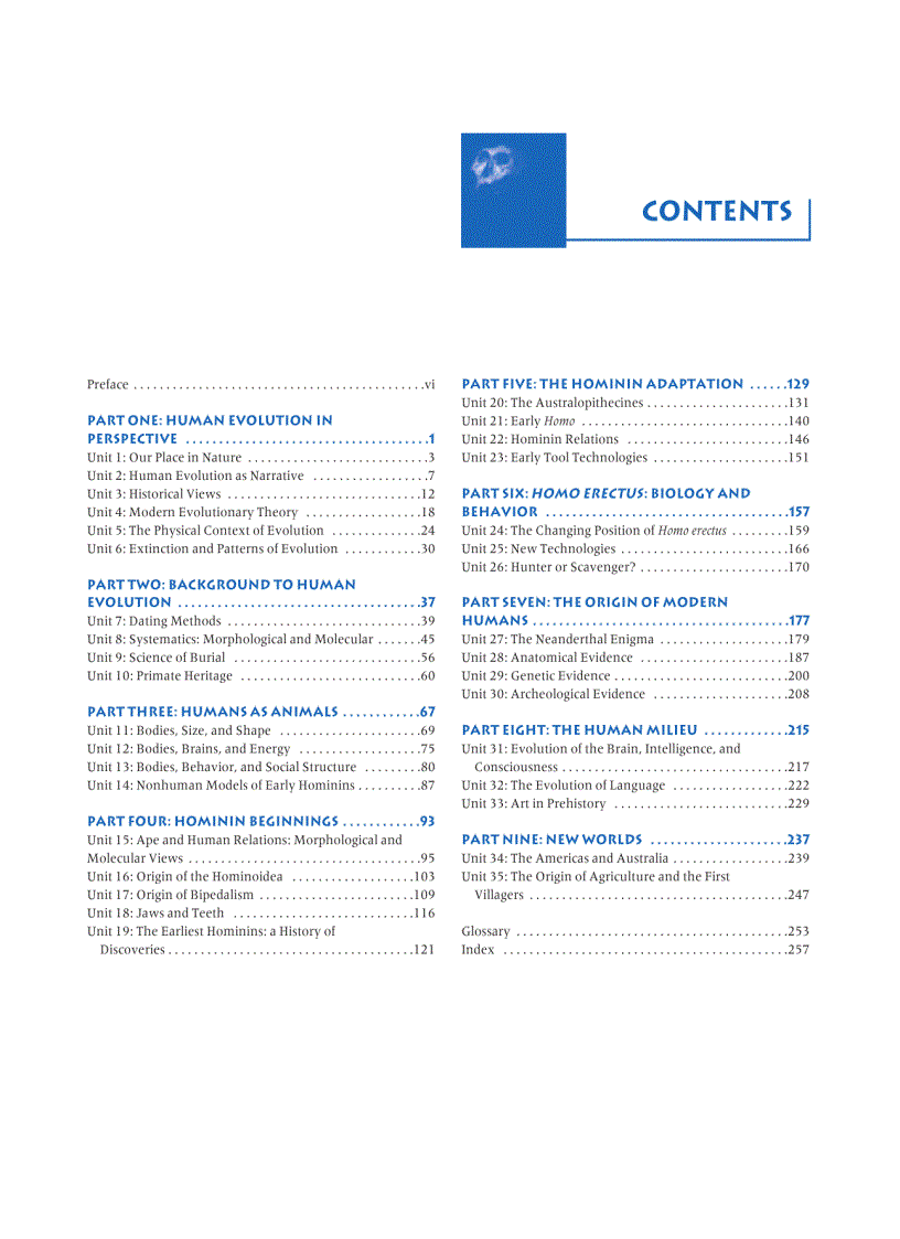 image for page Human Evolution