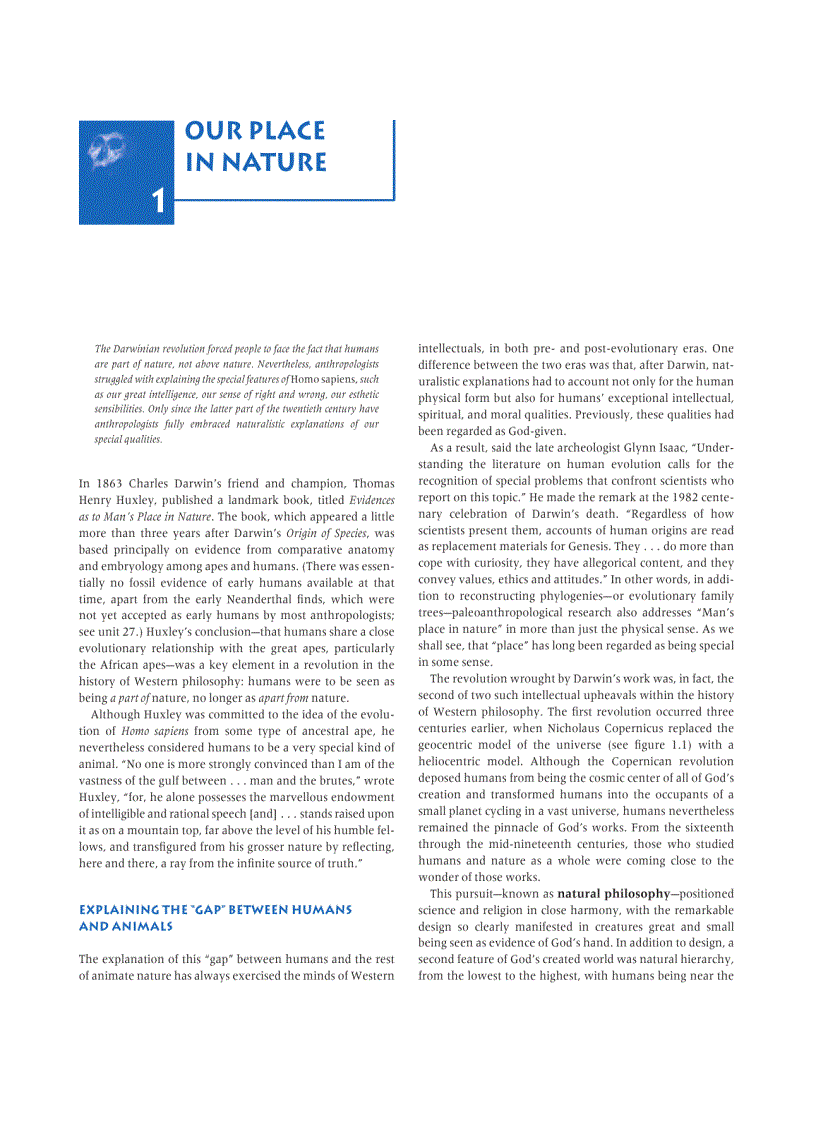 image for page Human Evolution