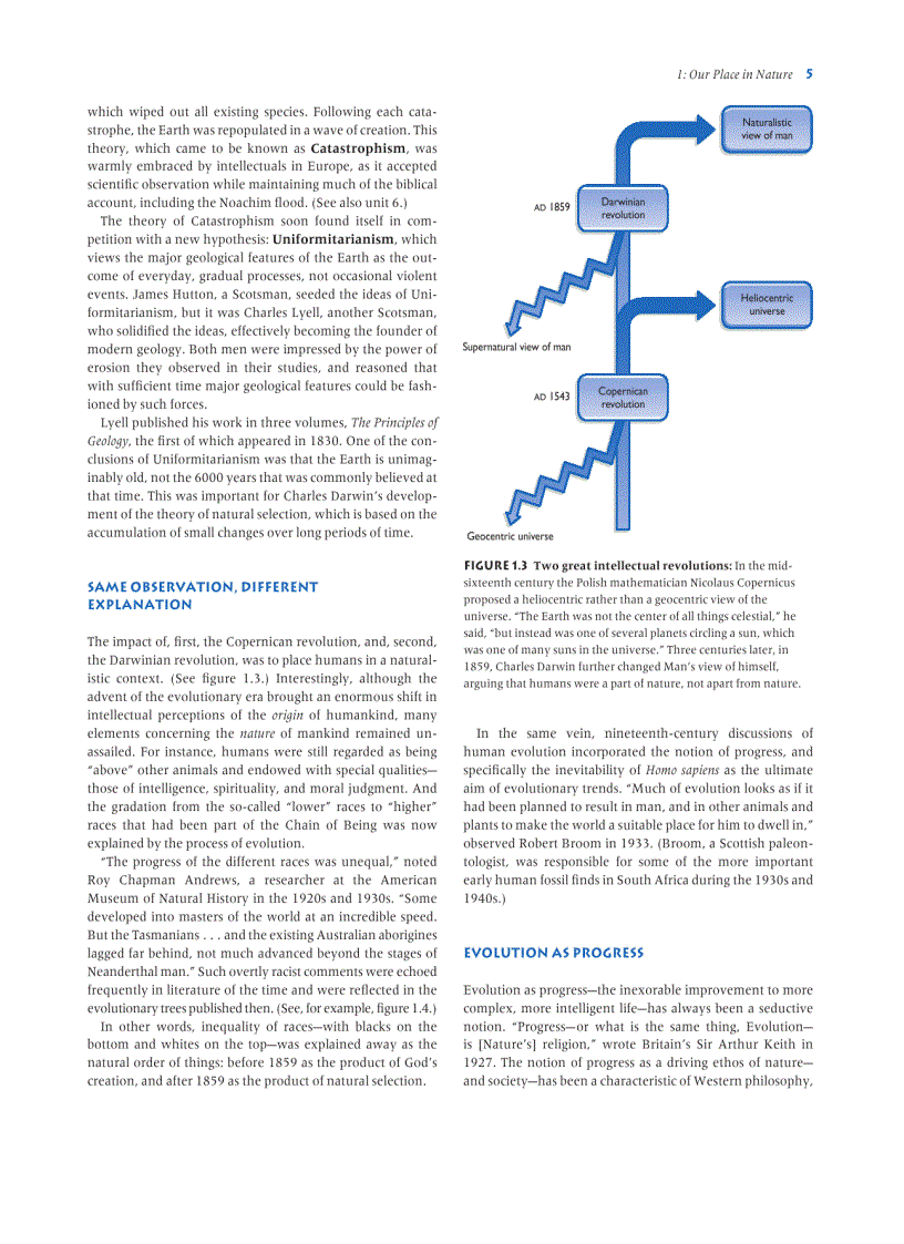 image for page Human Evolution