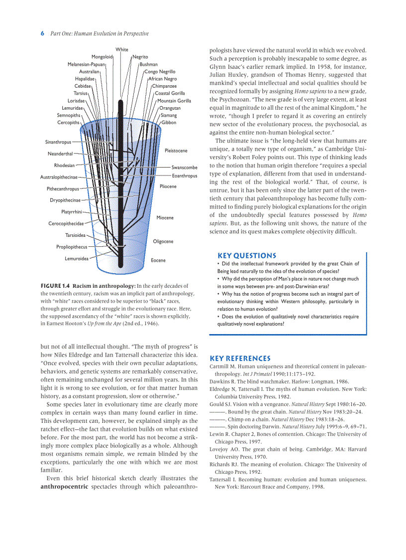 image for page Human Evolution