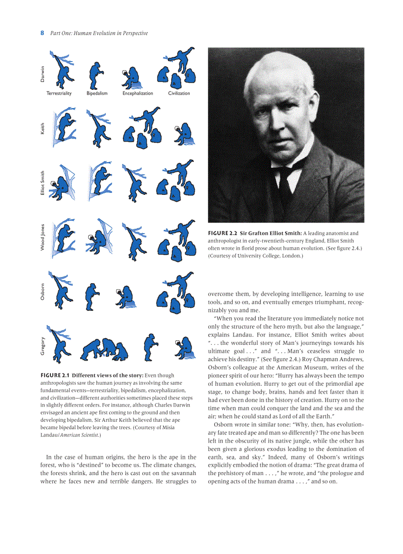 image for page Human Evolution