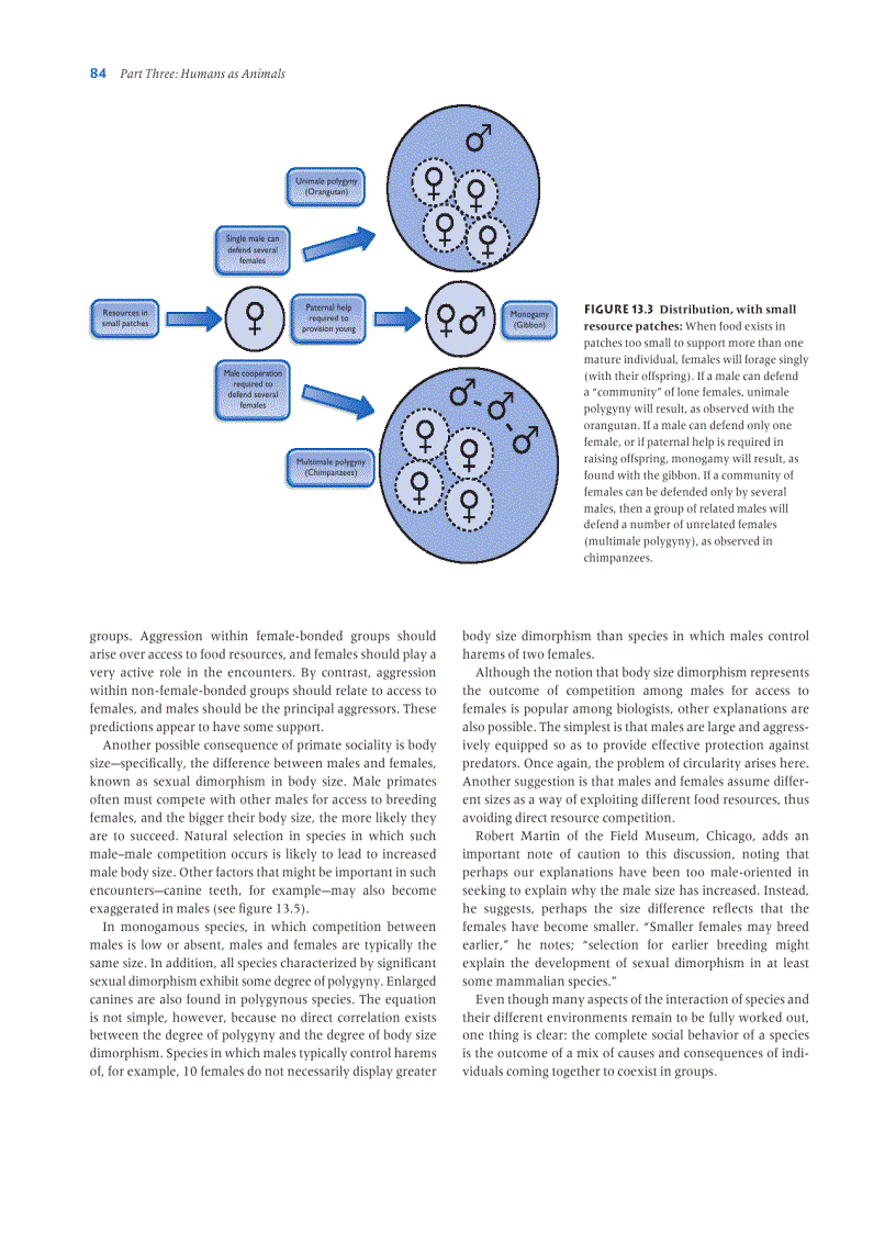 image for page Human Evolution