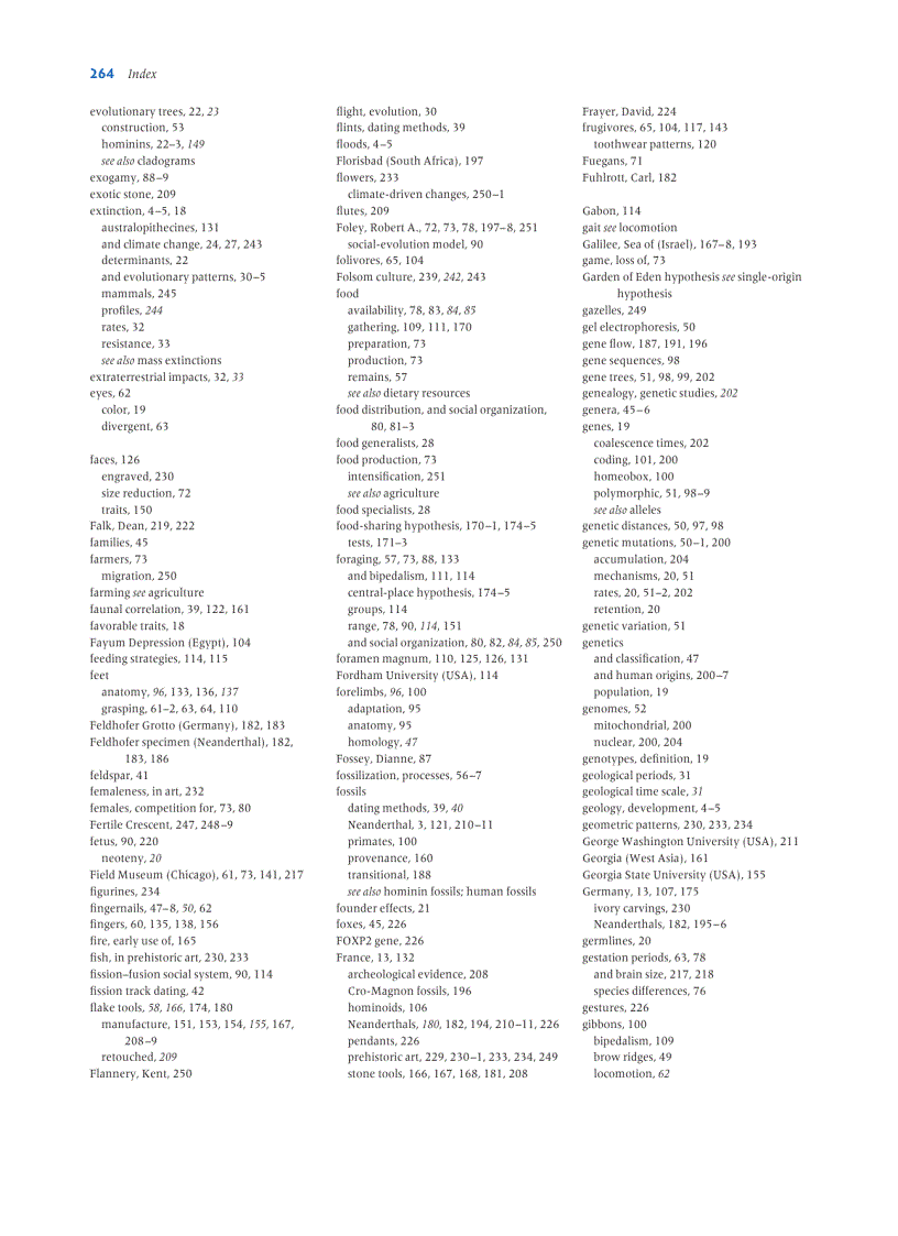 image for page Human Evolution