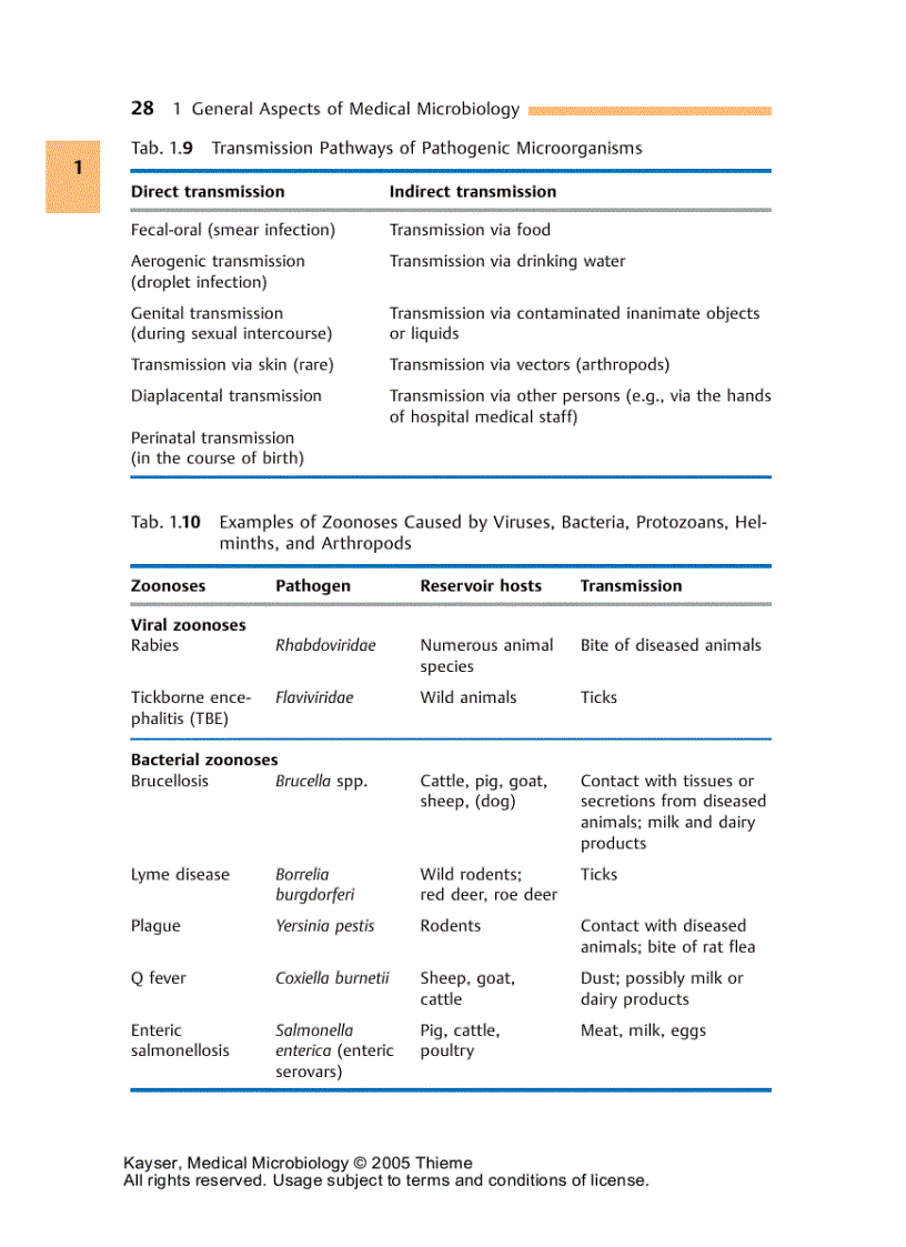 image for page Medical Microbiology 1st Edition