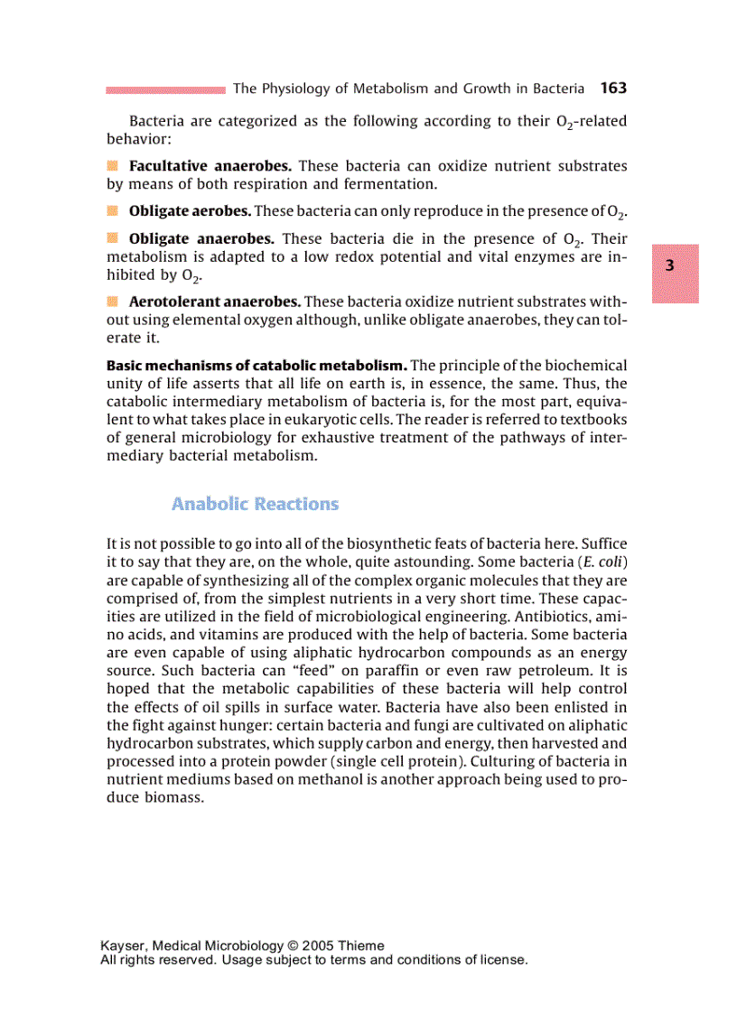 image for page Medical Microbiology 1st Edition