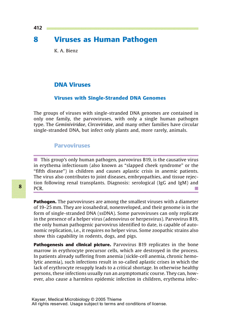 image for page Medical Microbiology 1st Edition