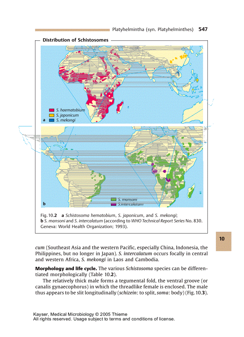 image for page Medical Microbiology 1st Edition