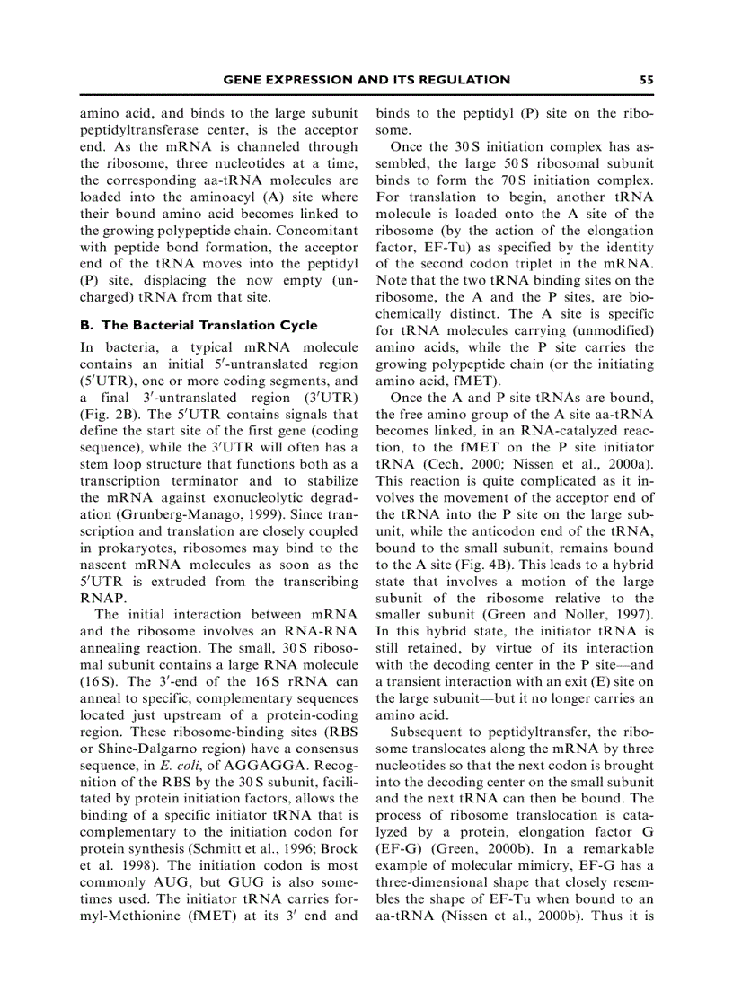 image for page Modern Microbial Genetics 2nd Edition