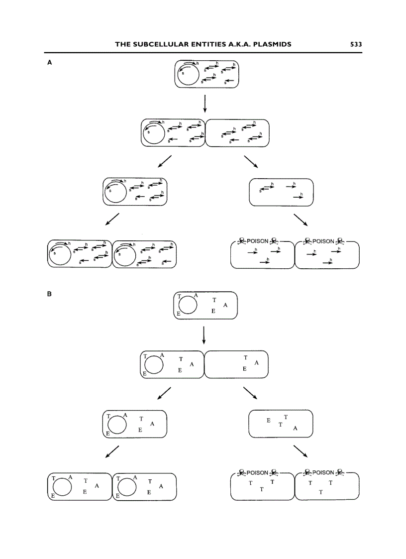 image for page Modern Microbial Genetics 2nd Edition