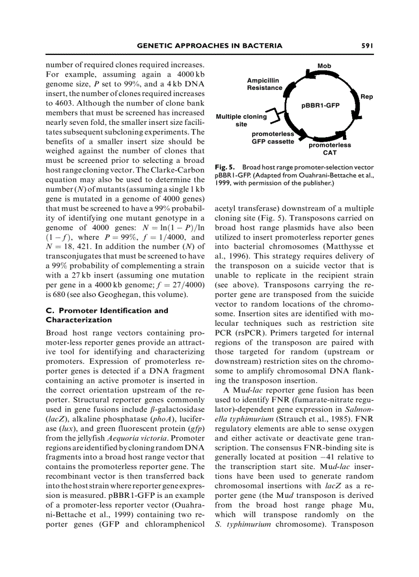 image for page Modern Microbial Genetics 2nd Edition