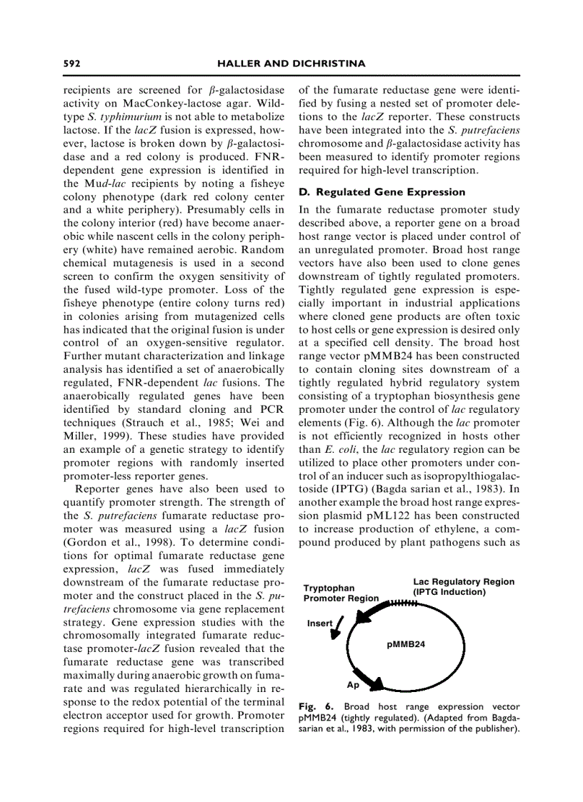 image for page Modern Microbial Genetics 2nd Edition