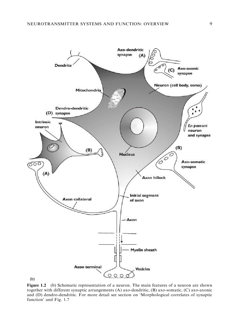 image for page Neurotransmitters