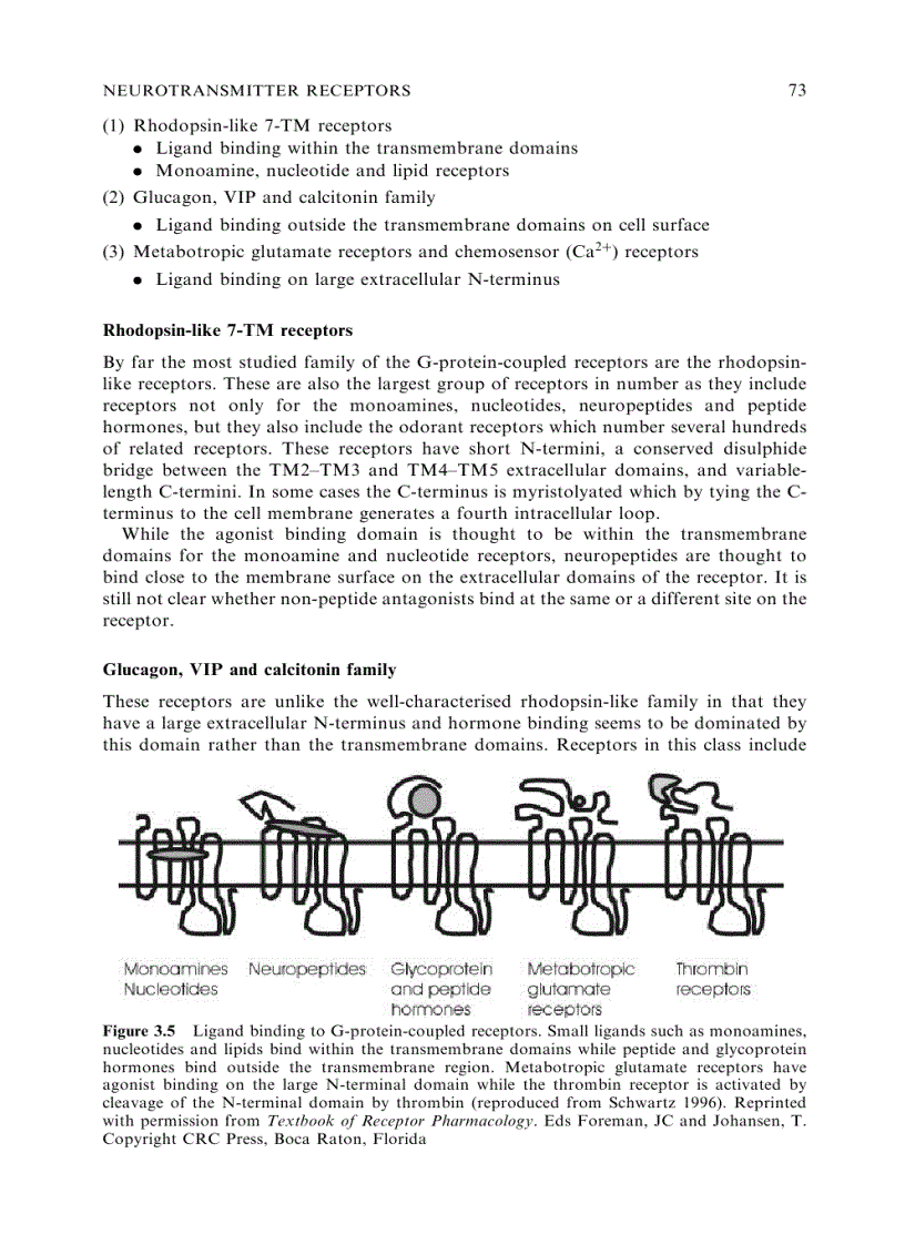 image for page Neurotransmitters