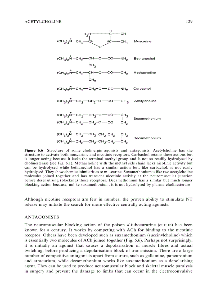 image for page Neurotransmitters