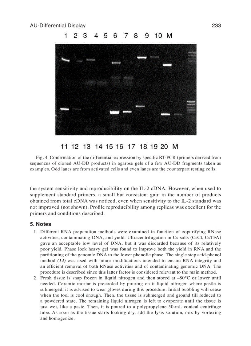 image for page PCR Protocols