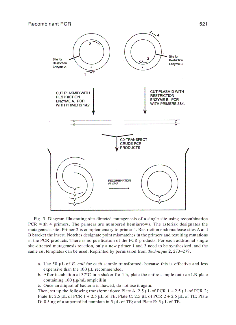 image for page PCR Protocols