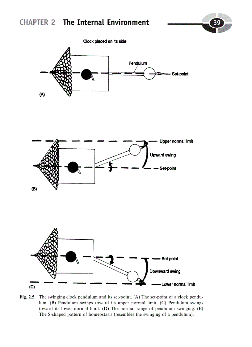 image for page Physiology Demystified 1st Edition