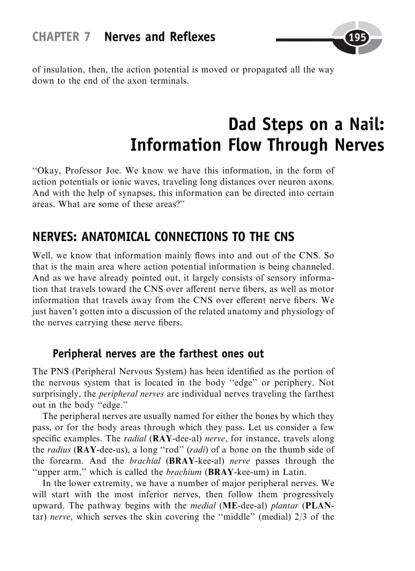 image for page Physiology Demystified 1st Edition