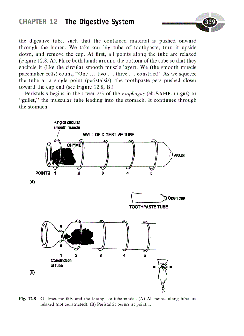 image for page Physiology Demystified 1st Edition