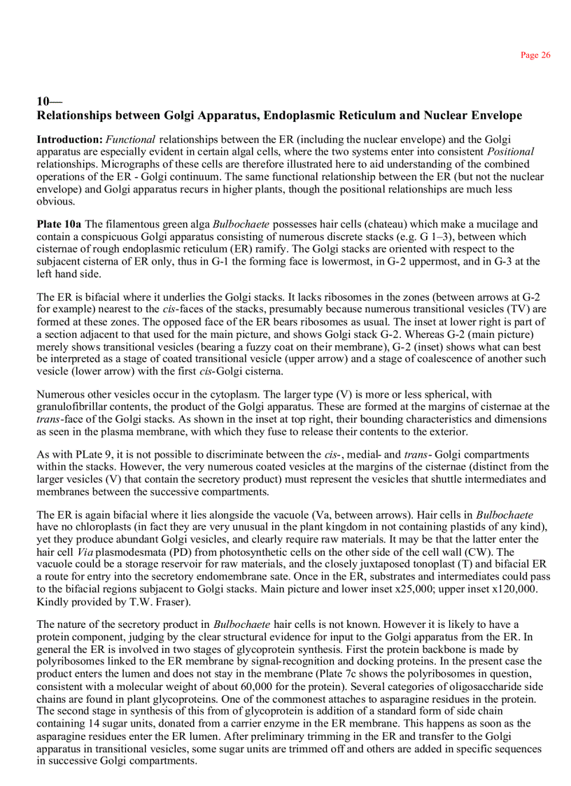 image for page Plant Cell Biology 1st Edition