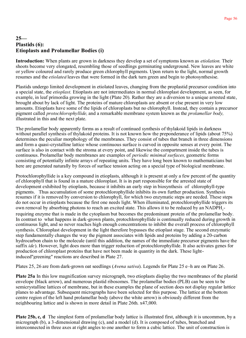 image for page Plant Cell Biology 1st Edition