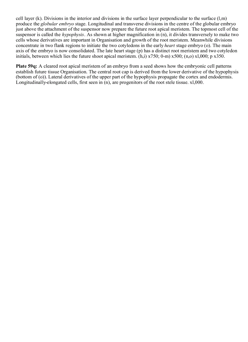 image for page Plant Cell Biology 1st Edition