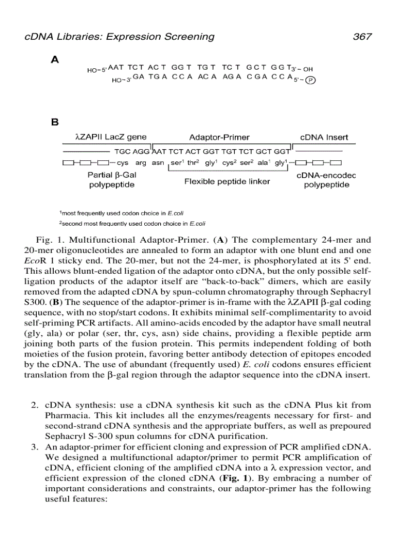 image for page RT PCR Protocols 1st Edition