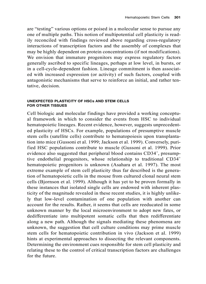 image for page Stem Cell Biology