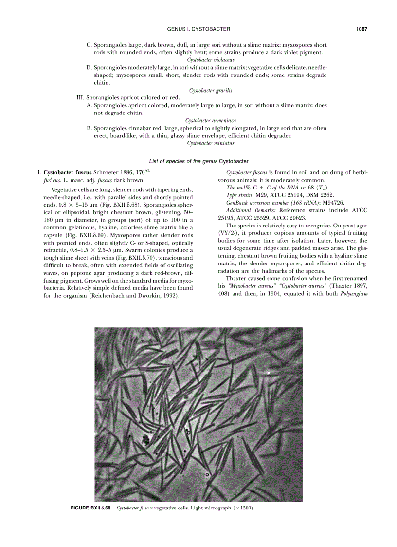 image for page Systematic Bacteriology Second Edition