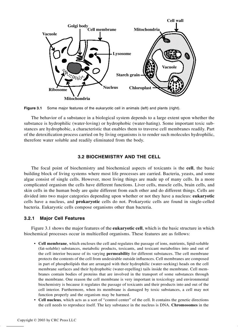 image for page Toxicological Chemistry and Biochemistry 3rd Edition