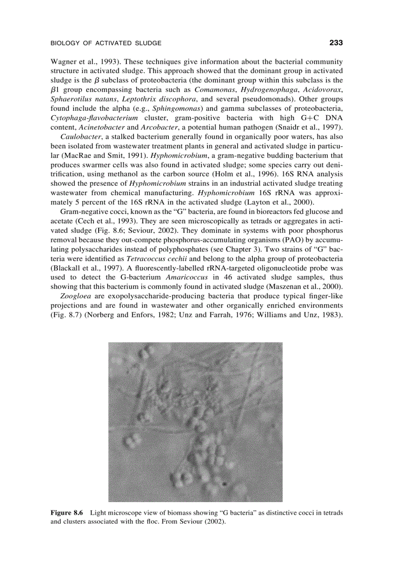 image for page Wastewater Microbiology 3rd Edition