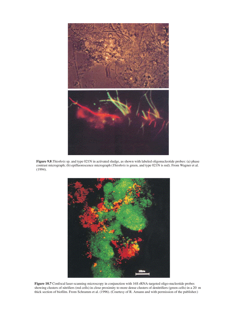 image for page Wastewater Microbiology 3rd Edition