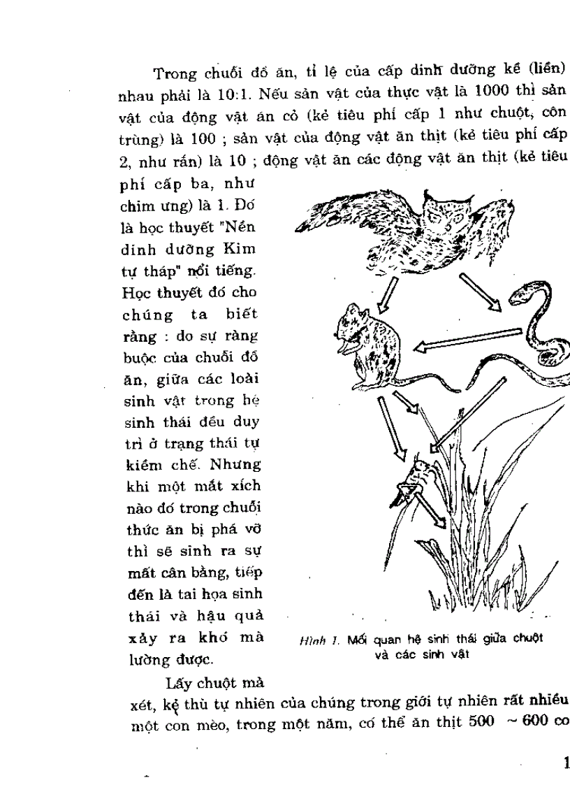 image for page 100 Cách diệt chuột