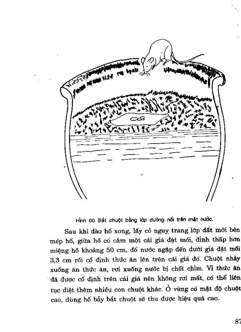 image for page 100 Cách diệt chuột