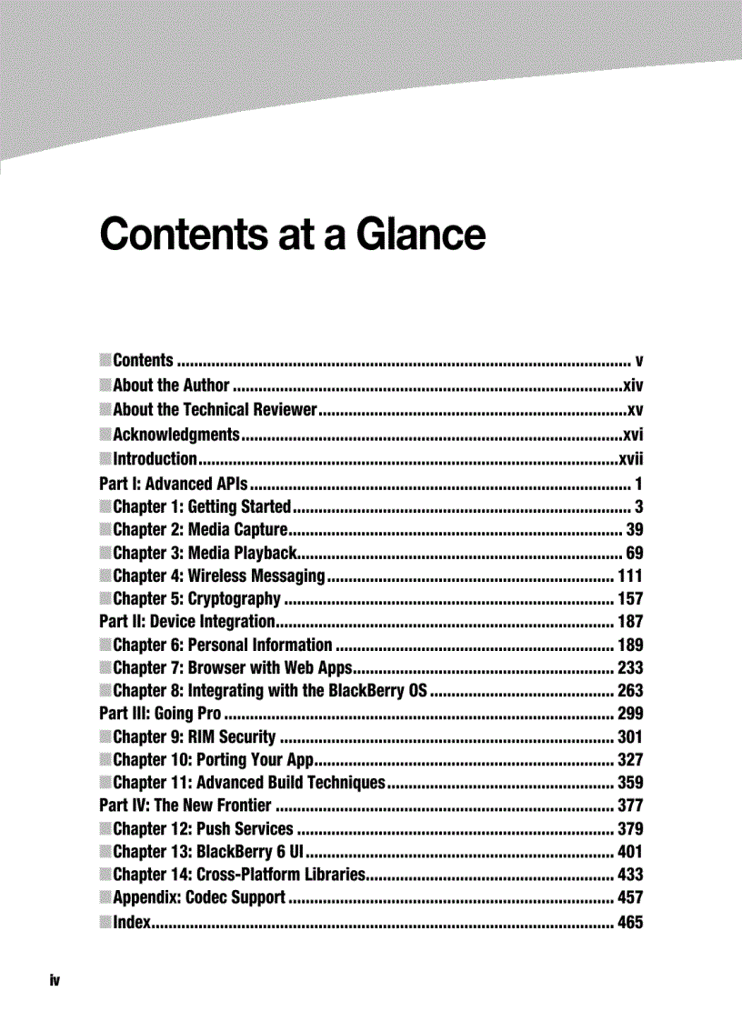 image for page Advanced BlackBerry 6 Development