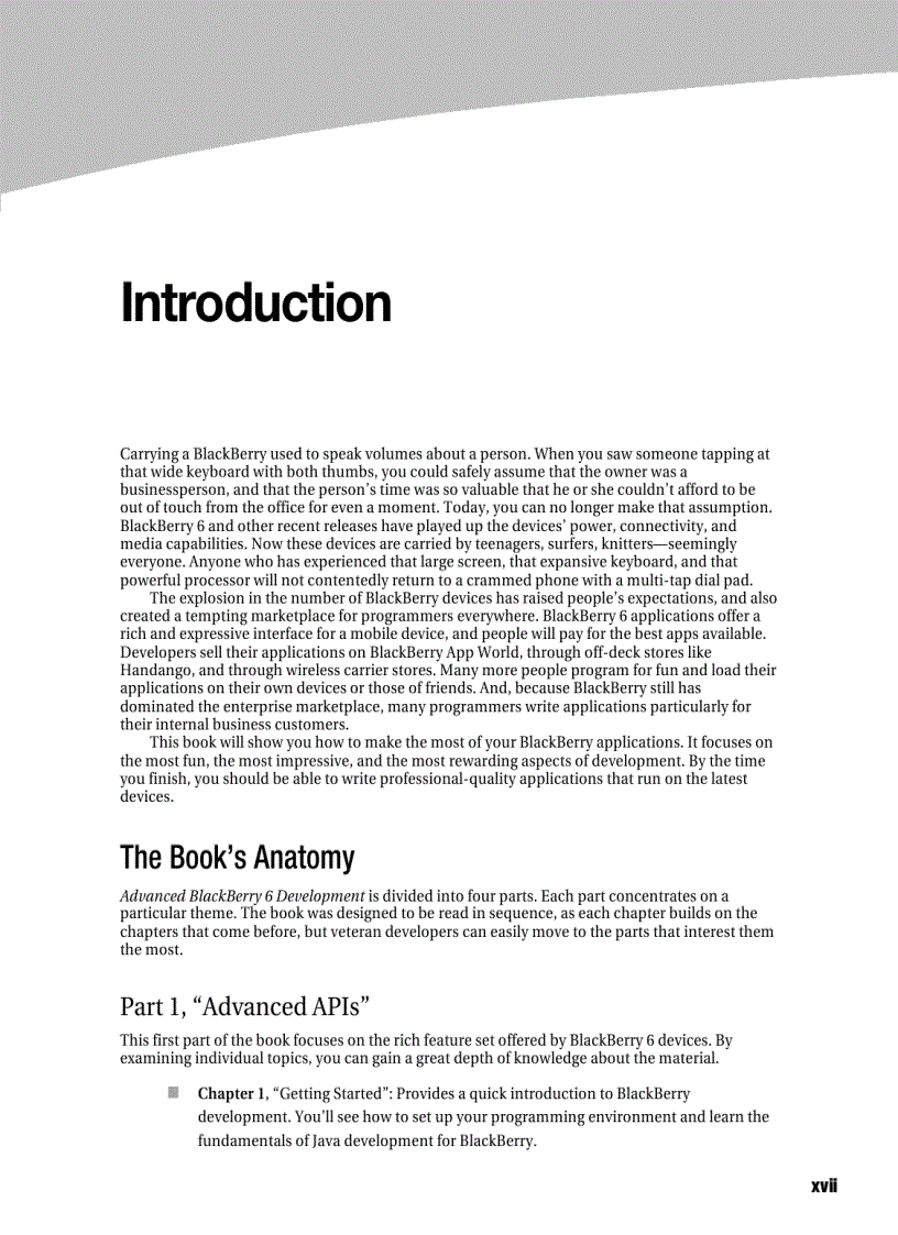 image for page Advanced BlackBerry 6 Development