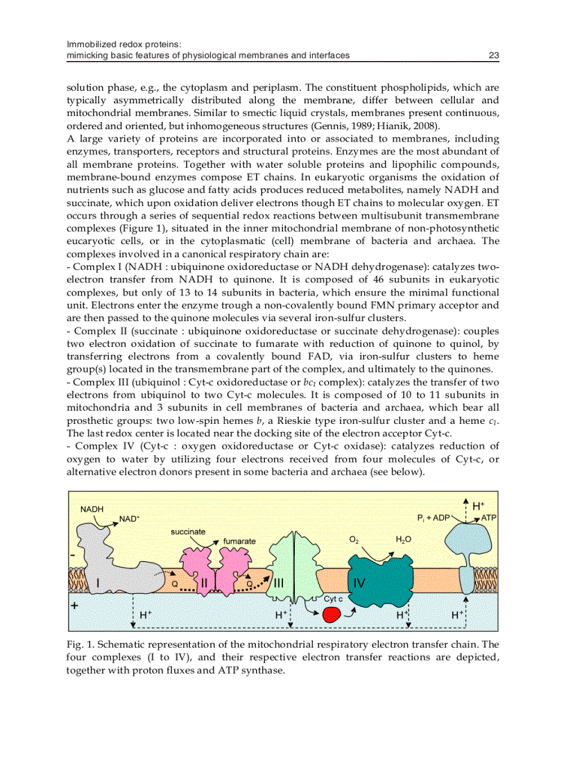 image for page Biomimetics Learning from Nature