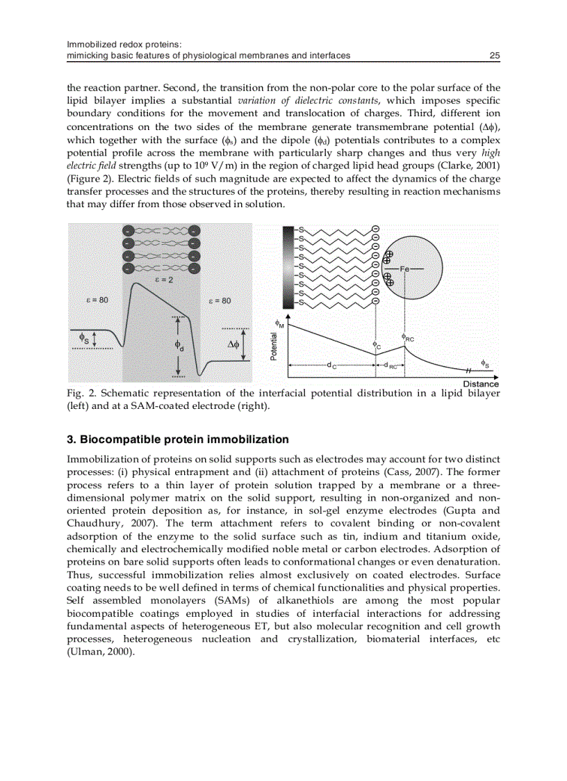 image for page Biomimetics Learning from Nature
