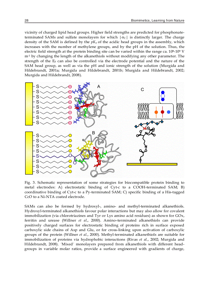image for page Biomimetics Learning from Nature