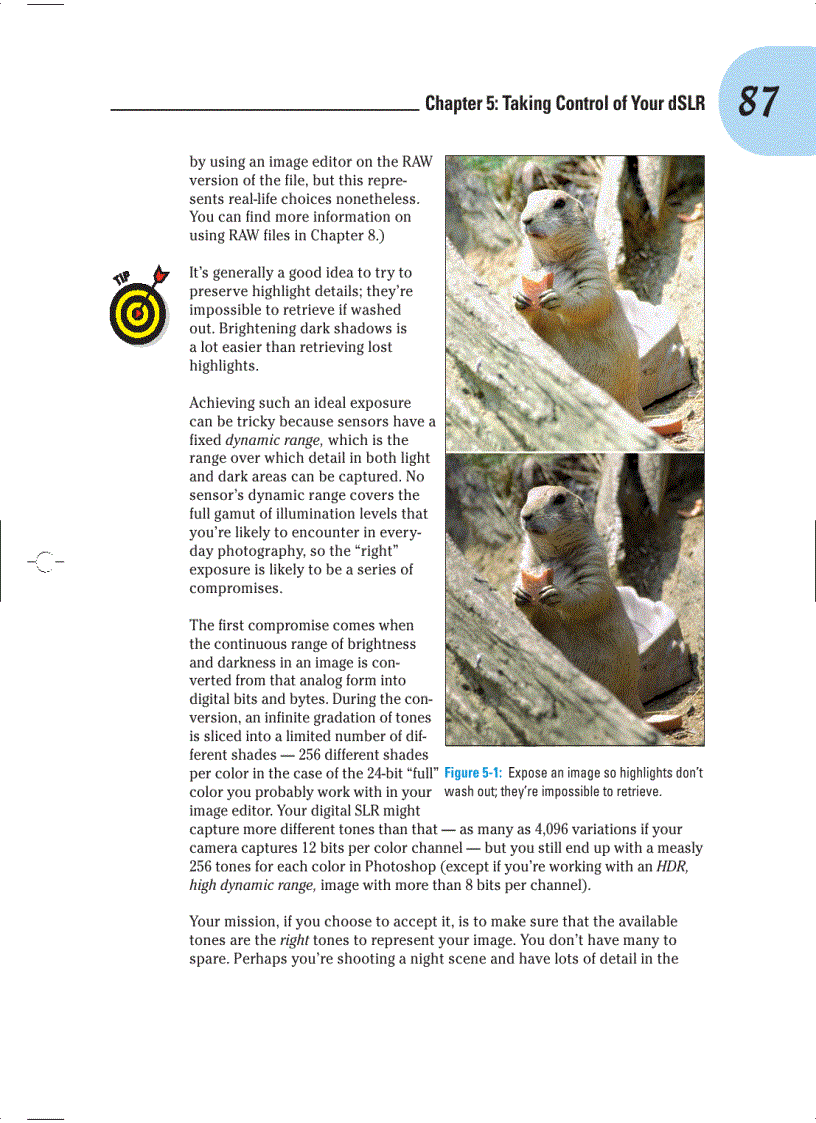 image for page Digital SLR Cameras and Photography For Dummies