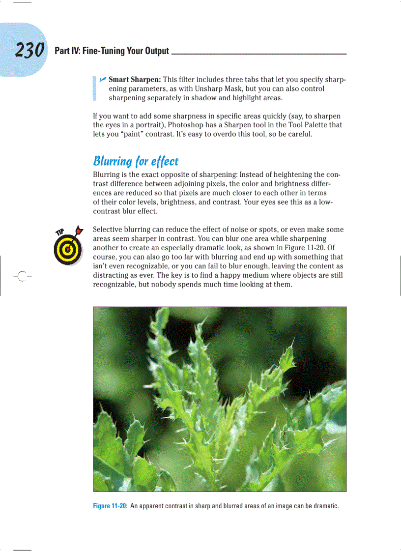 image for page Digital SLR Cameras and Photography For Dummies