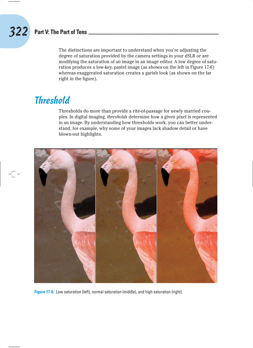 image for page Digital SLR Cameras and Photography For Dummies