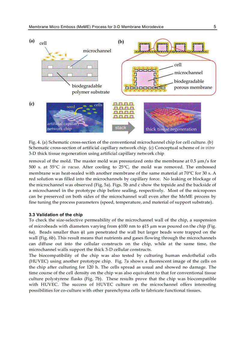 image for page Micro Electronic and Mechanical Systems