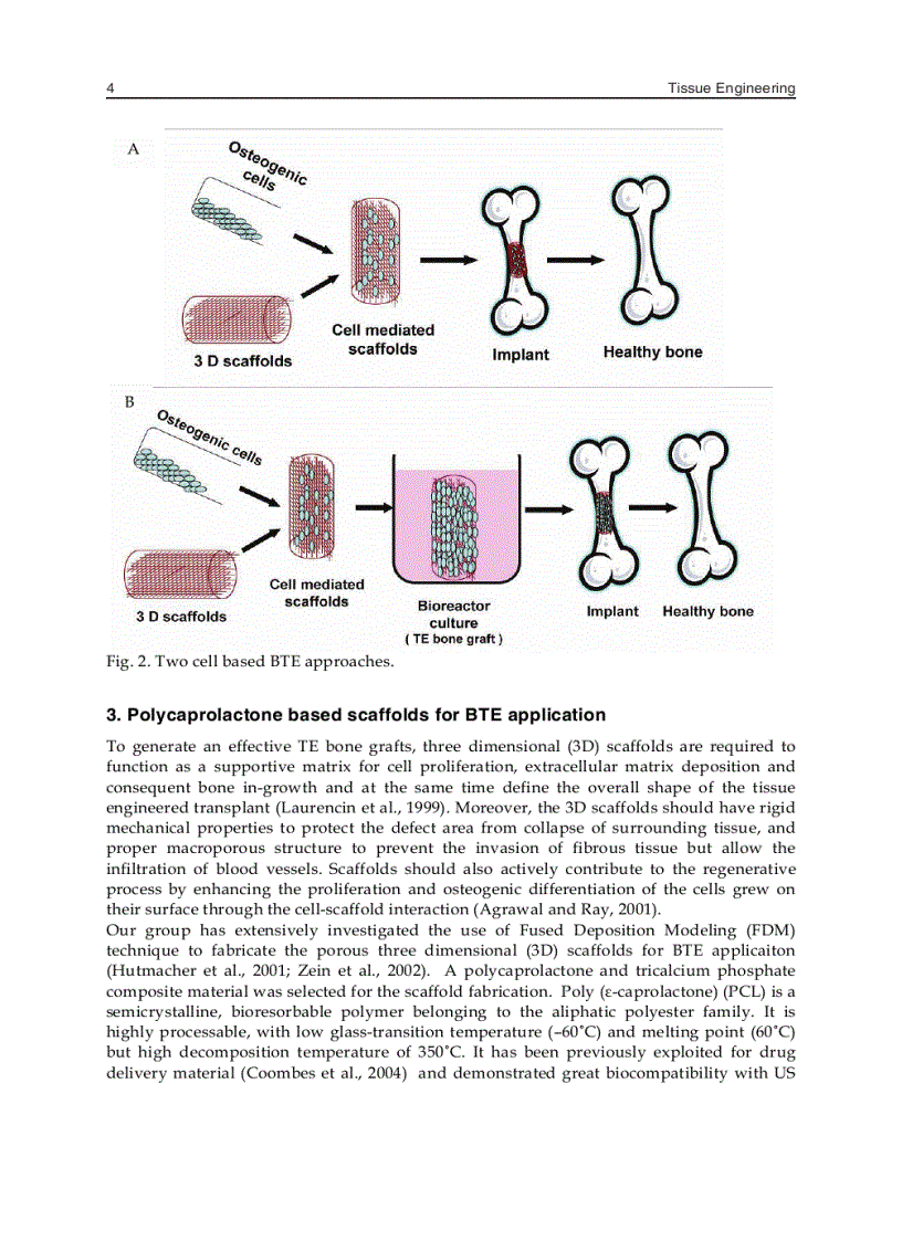 image for page Tissue Engineering