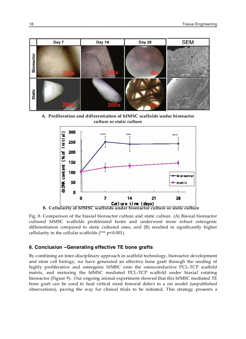 image for page Tissue Engineering